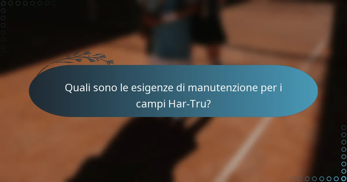 Quali sono le esigenze di manutenzione per i campi Har-Tru?