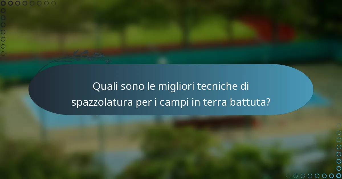 Quali sono le migliori tecniche di spazzolatura per i campi in terra battuta?